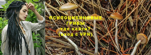 мефедрон Медногорск