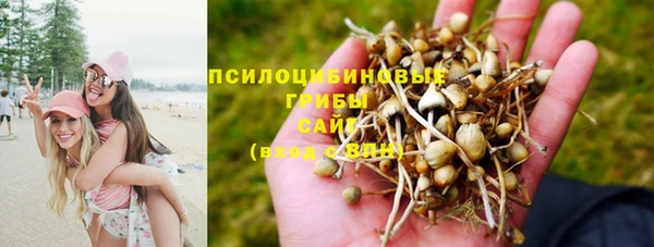 тгк Мегион