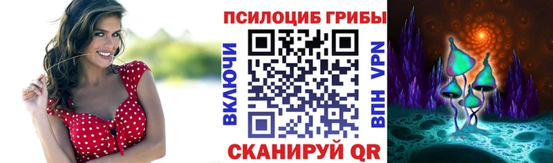 купить  цена  Калачинск  Галлюциногенные грибы GOLDEN TEACHER 